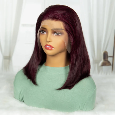 Burgundy Straight Short Wig Double Drawn