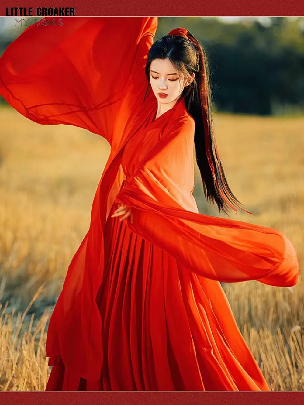Chinese Traditional Folk Dance Costume Women Hanfu Clothing