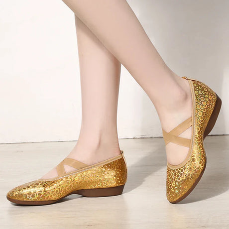 Women Dance Standard Low Heel Shoes Ladies Girls