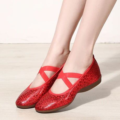 Women Dance Standard Low Heel Shoes Ladies Girls