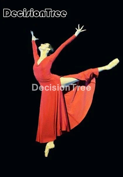 Ballroom Waltz Modern Dance Dress Ballet Dance Competition