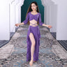 Belly Dance Suit Printing Mesh Top Short Sleeves