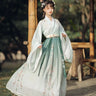 Chinese Style Hanfu Dress Women Traditional Elegant Floral