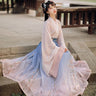 Chinese Style Hanfu Dress Women Traditional Elegant Floral