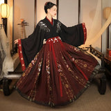 Chinese Traditional Hanfu Costume Woman Ancient Han Dynasty