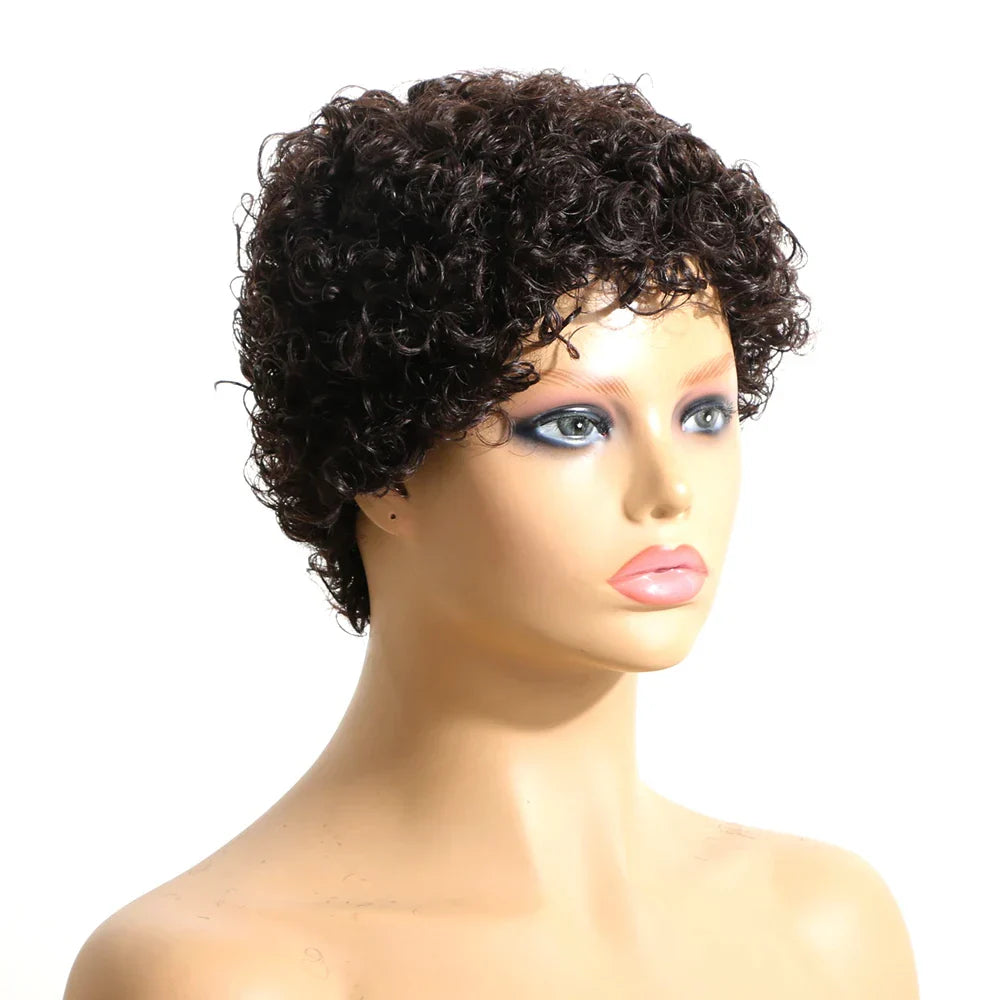 Human Hair Short Jerry Curly Wig Afro