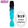 24inch Ombre Hair For Braids 5Pcs Box