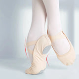 Professional Stretch Ballet Dance Shoes For Women Girls