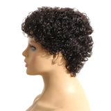 Human Hair Short Jerry Curly Wig Afro