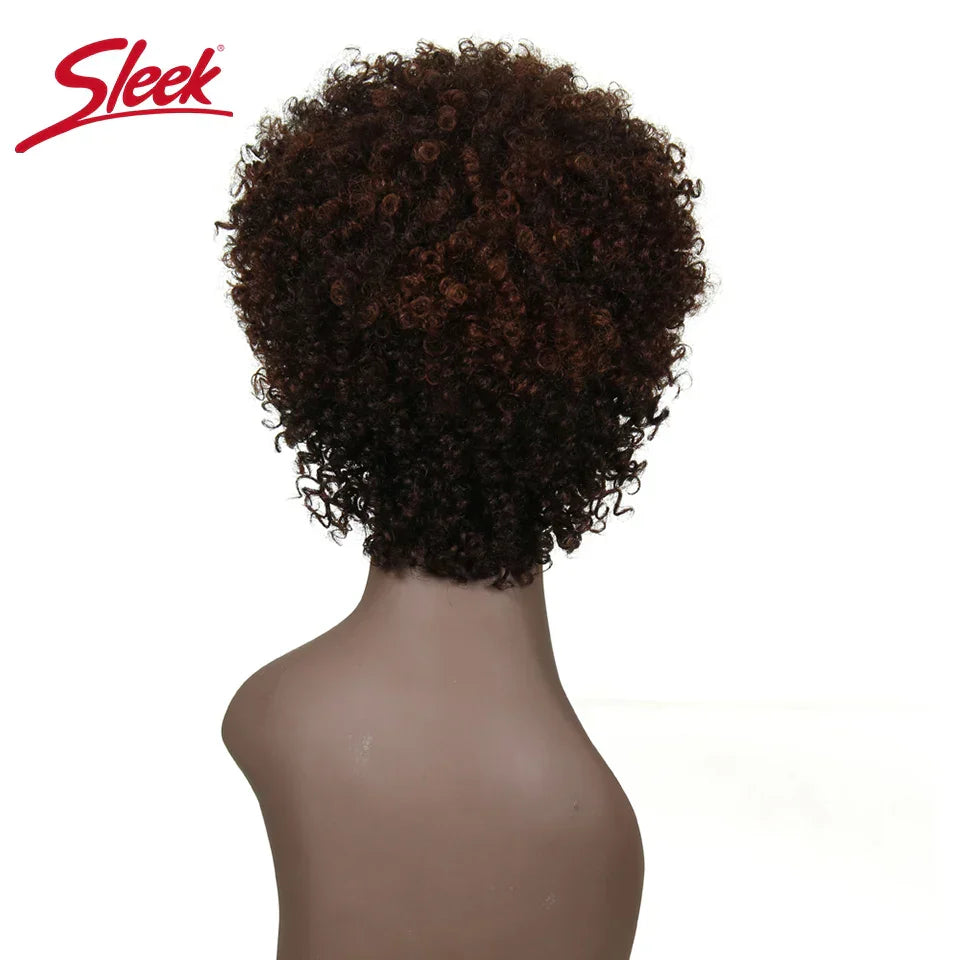 Sleek Natural Brazilian Afro Kinky Curly Human Hair