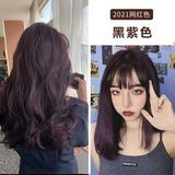 Hair Dye Hair Coloring Cream Micro-Tide Color Hair