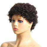 Human Hair Short Jerry Curly Wig Afro