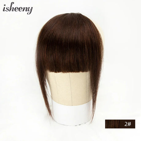 Isheeny Human Hair Bangs Clips In Black Blunt