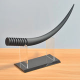 Large Eyelash Model Display Teaching Training Demonstration Tool