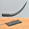 Large Eyelash Model Display Teaching Training Demonstration Tool