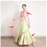 Original Embroidered Sari Indian Women' Dance Dress Lenha