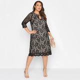Spring Autumn Elegant Lace Dress Women Keyhole /