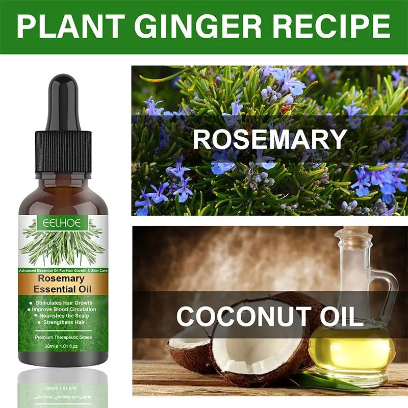 Rosemary Oil For Hair Growth Anti Hairs Loss