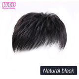 Synthetic Natural Male Toupee Short Wig Hair Style