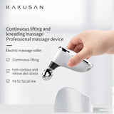 Ems Dual Roller Facial Beauty Instrument For Home