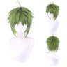 Men Synthetic Green Short Wavy Wig Cosplay Anime