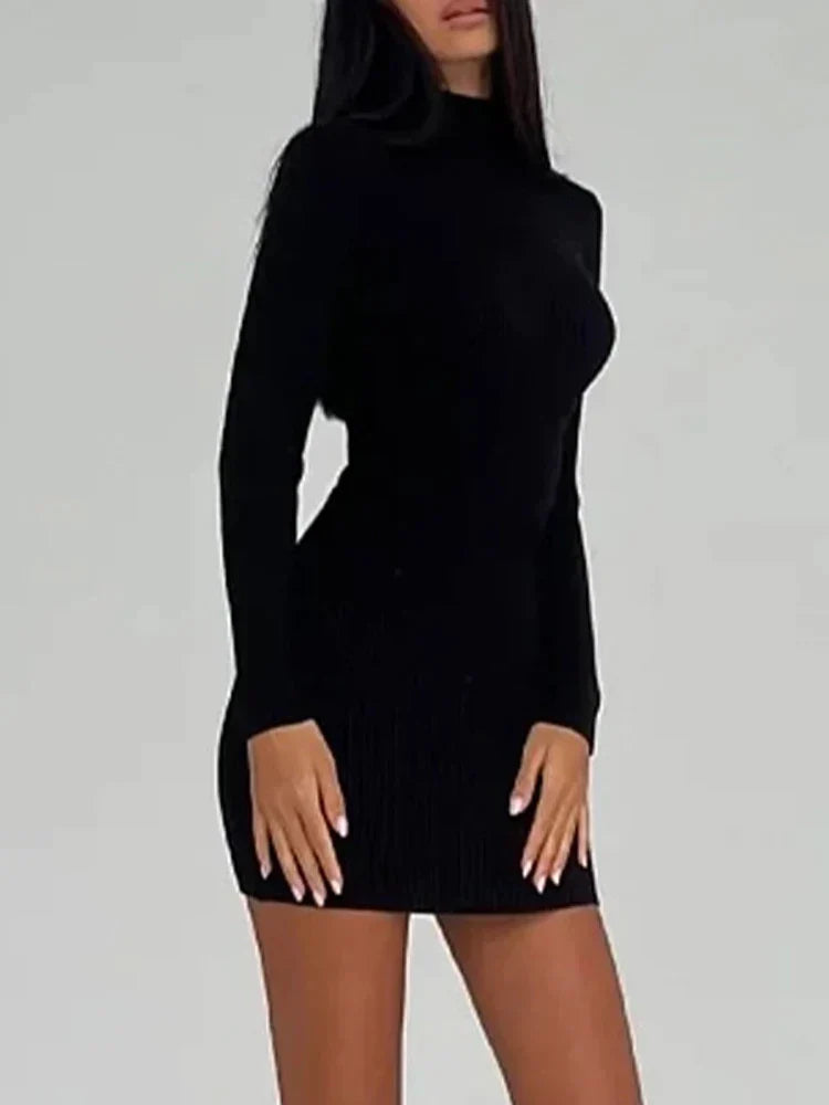 Knitted Turtleneck Dress Women Autumn Winter Long Sleeve