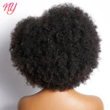 Afro Kinky Curly Lace Front Wig Brazilian Remy