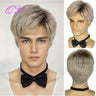 Synthetic Man Wigs Black Short Curly For Men