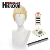 Tokyo Revengers Cosplay Wig Collection