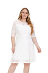 Contrast Lace Semi Sheer / Sleeve Midi Dress,