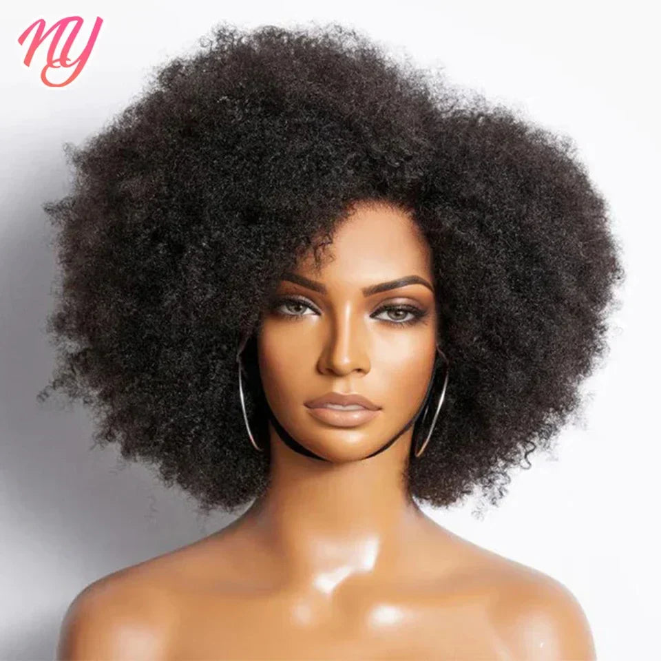 Afro Kinky Curly Lace Front Wig Brazilian Remy