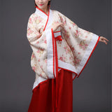 Traditional Hanfu Dress - Tang Dynasty Style