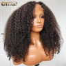 Qt Afro Kinky Curly Lace Front Wigs