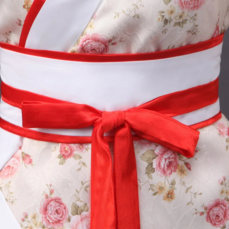 Traditional Hanfu Dress - Tang Dynasty Style
