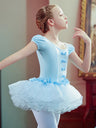 Girl' Elegant Ballet Dress Short Sleeve Dance Wear