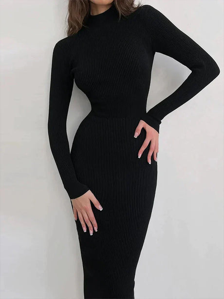 Knitted Turtleneck Dress Women Autumn Winter Long Sleeve