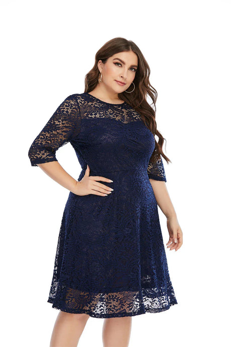 Contrast Lace Semi Sheer / Sleeve Midi Dress,