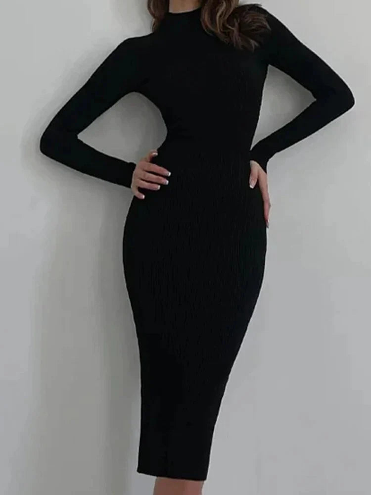 Knitted Turtleneck Dress Women Autumn Winter Long Sleeve