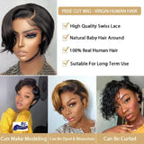 Pixie Cut Wig Transparent Lace Human Hair Wigs