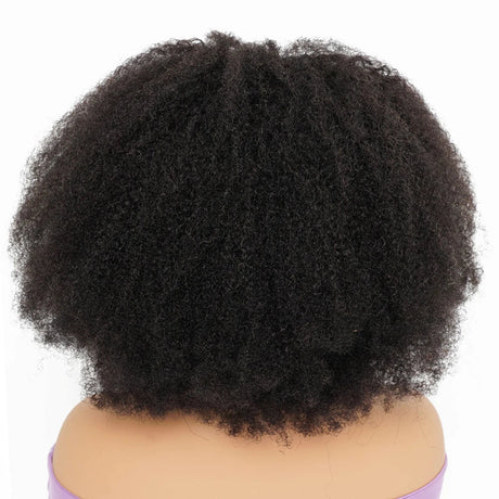 Density Afro Kinky Curly Human Hair Wigs