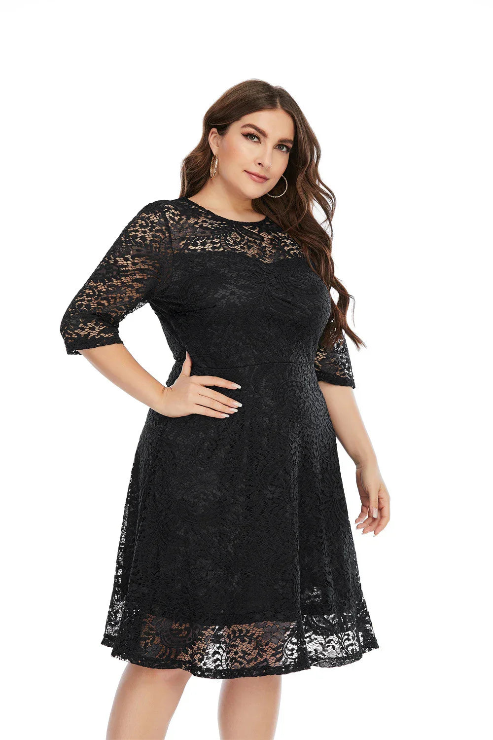 Contrast Lace Semi Sheer / Sleeve Midi Dress,