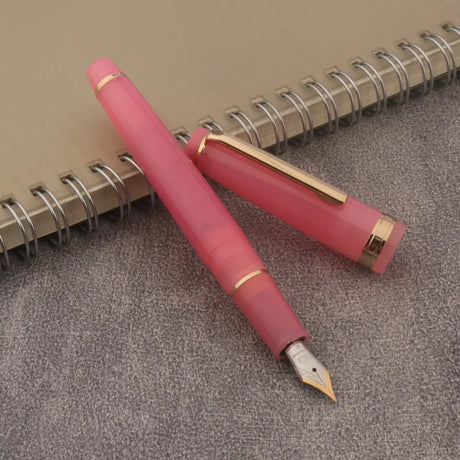 Brand Jinhao Fountain Pen Fluorescence Ink Pen