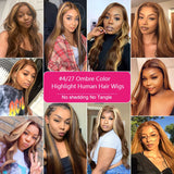 Highlight Ombre Straight Lace Front Human Hair