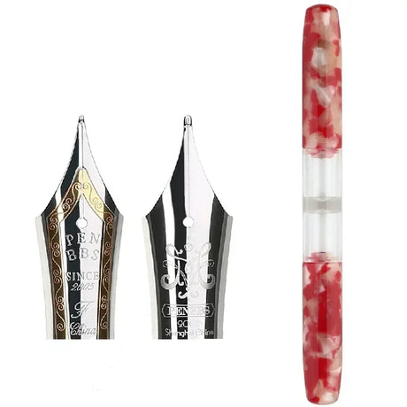 Penbbs Transparent Resin Fountain Pen Double-Nib Ink