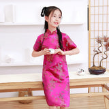 Summer Children Cheongsam Dragon Phoenix Embroidery Qipao Princess