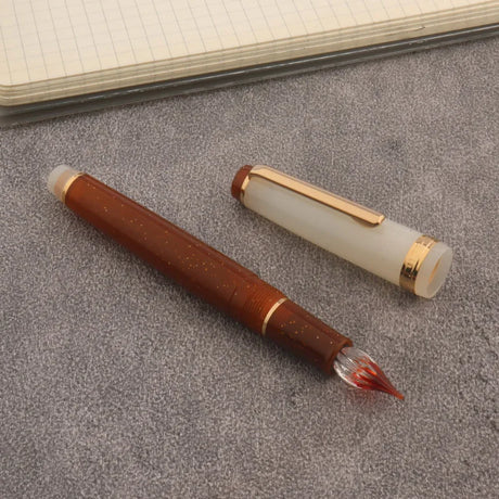 Jinhao Fountain Pen Color Match Dip In