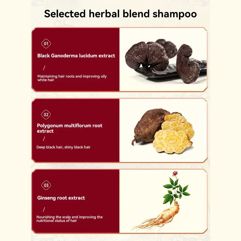 Ginger Plant Extract Anti-Hair Loss Hair Shampoo Polygonum