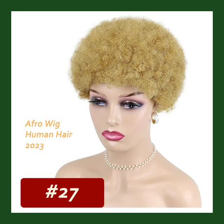 Kinky Curly Wigs Short Wigs For Black Women