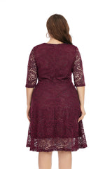 Contrast Lace Semi Sheer / Sleeve Midi Dress,