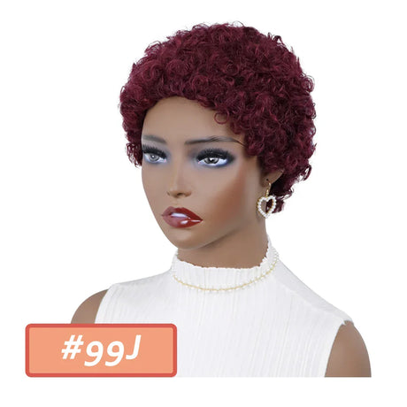 Kinky Curly Wigs Short Wigs For Black Women